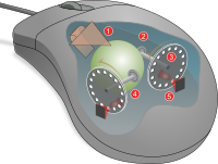 mouse