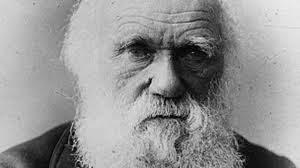 darwin